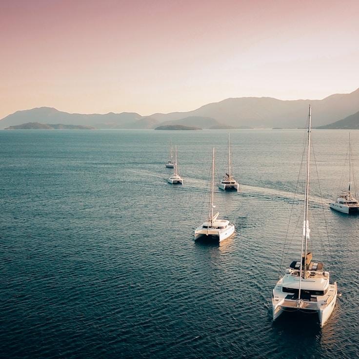 Gourmet meals on the sea